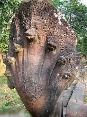 五頭蛇是真的嗎