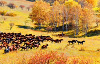 國內最黑的十三個旅游景點