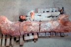 阿根廷現最大恐龍化石身長超40米 科學家預測品種為