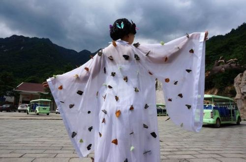 扎死蝴蝶裝扮仙子