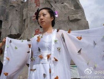 扎死蝴蝶裝扮仙子