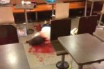 山東招遠麥當勞血案 招遠麥當勞死人了金都百貨麥當