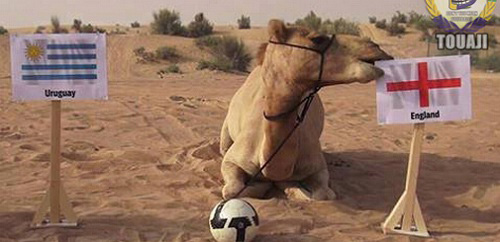 神獸成災(zāi)星