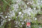 內蒙古遭遇強對流天氣 赤峰冰雹造成農作物受災嚴重