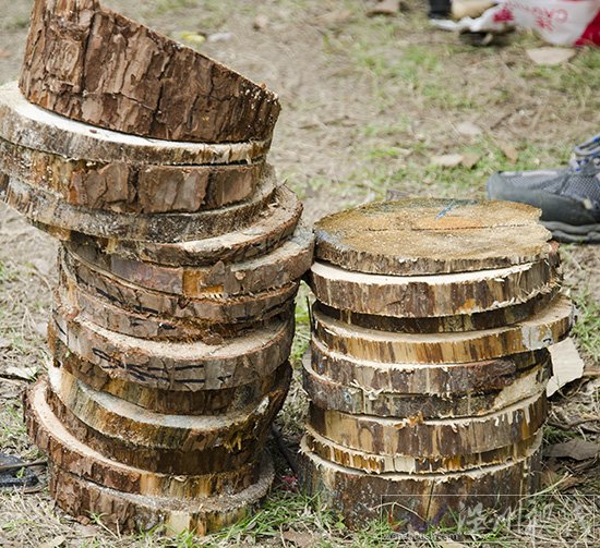 楠溪江露營(yíng)節(jié)