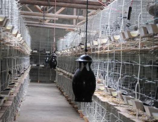 溫嶺農民發明光譜滅蚊器