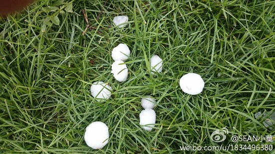 北京延慶突降冰雹大如兵乓球
