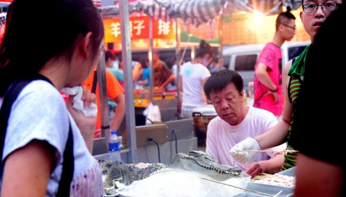 沈陽現鱷魚燒烤20元1串