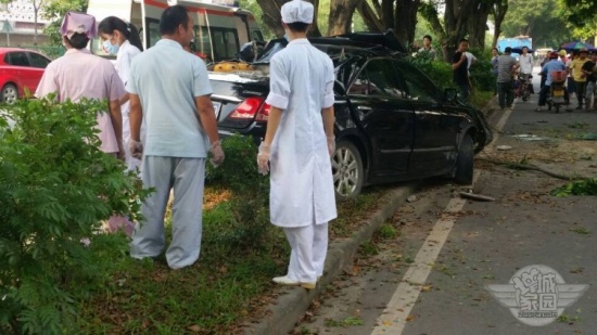 增城荔城大道車禍