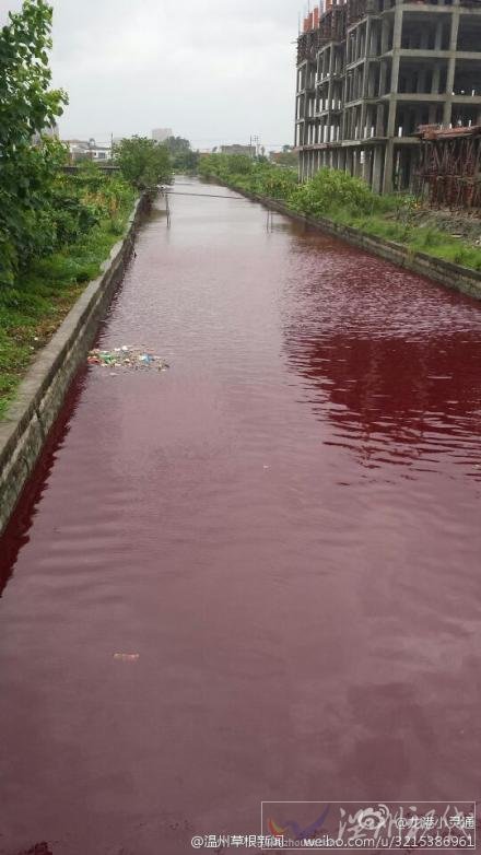 溫州河水一夜變血水