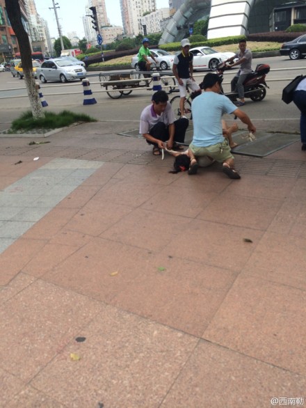 女子當街被救護車綁走其實是因為精神病發作