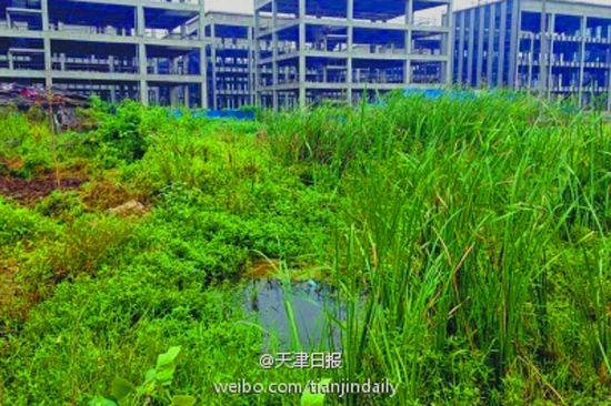 90后準新娘喪尸水塘