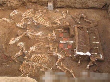 西安財院新校區(qū)挖出秦始皇祖母墓穴