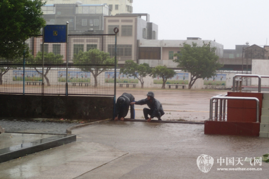 海鷗影響雷州半島 東里中學教職工堅守學校
