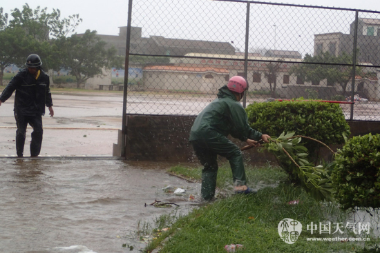 海鷗影響雷州半島 東里中學教職工堅守學校