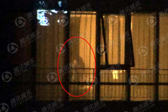 謝霆鋒王菲復合