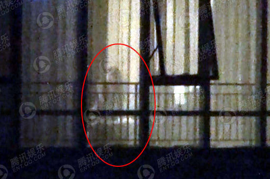 謝霆鋒王菲復合