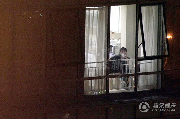 謝霆鋒王菲復合