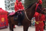 溫州永強古裝迎親 新郎騎馬迎親很拉風