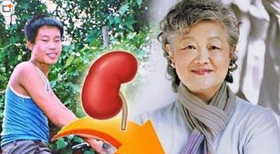 章含之用了聶樹(shù)斌的腎