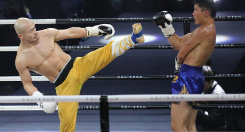 武林風(fēng)一龍最新比賽