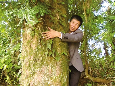 蒼南天井村有一棵300年樹齡的紅豆杉