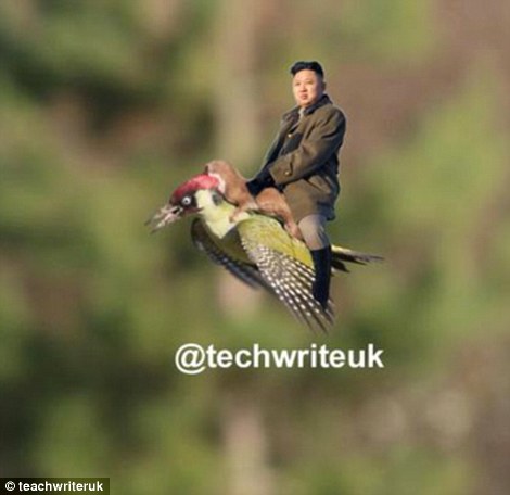 黃鼠狼騎在啄木鳥的背上遭網(wǎng)友惡搞