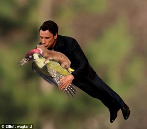 黃鼠狼騎在啄木鳥的背上遭網友惡搞