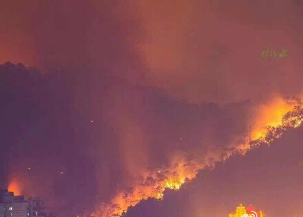 廣西梧州突發(fā)山火