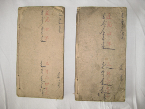 乾隆七世孫擁有《玄金秘要》