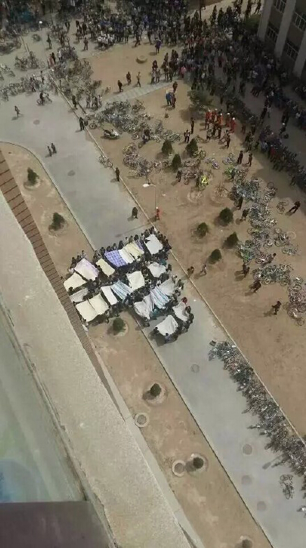 北方民族大學被子哥