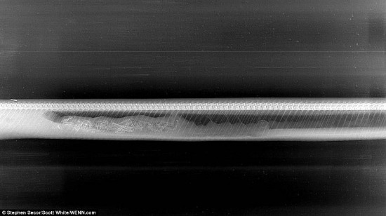 緬甸蟒蛇吞食鱷魚(yú)后的消化過(guò)程