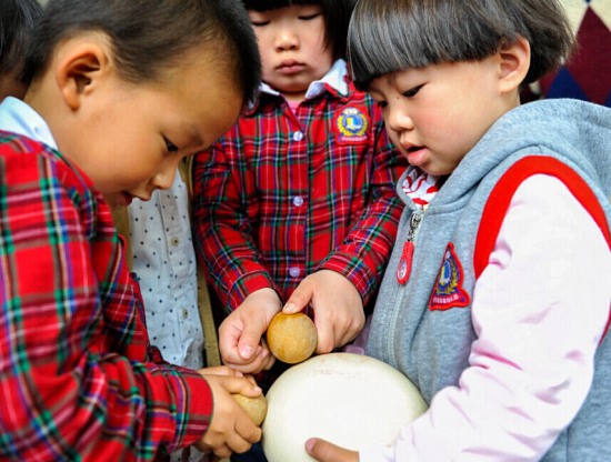 寧波習(xí)俗立夏斗蛋