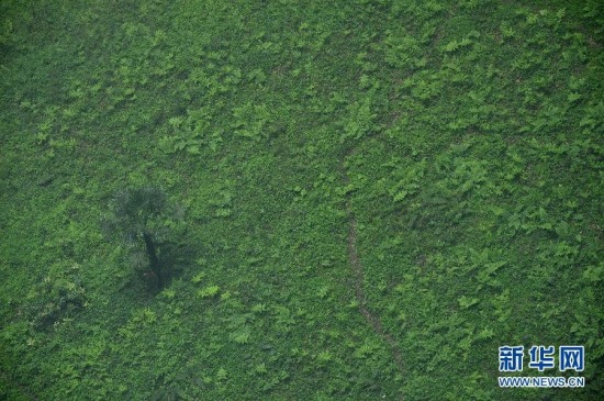 湖北驚現(xiàn)神秘天坑
