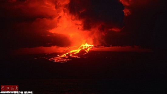 厄瓜多爾沃爾夫火山噴發