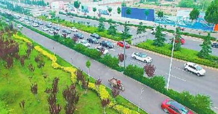 山東土豪迎親車隊