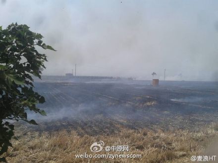 河南萬畝小麥被燒