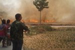 河南萬畝小麥被燒