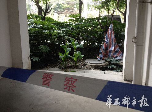 成都一妙齡女小區(qū)12樓墜亡