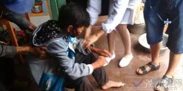 父子上山撿菌遭熊襲擊