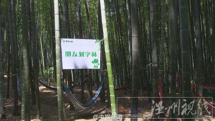 四川竹海開設(shè)景區(qū)紀(jì)念竹林