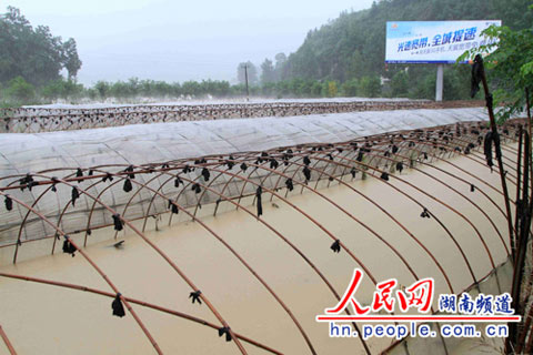 26日強降雨襲擊湘西北 湖南已啟動防汛四級響應