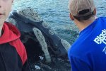 鯨魚(yú)向漁民求助 鯨魚(yú)嘴被垃圾袋卡住求助漁民智商太
