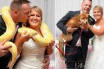 婚禮嘉賓30種動物 英國夫婦把動物當作婚禮嘉賓