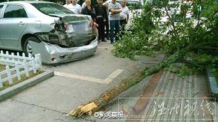 金華女司機車禍