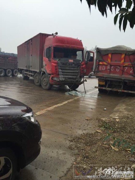 明港車禍現(xiàn)場圖片