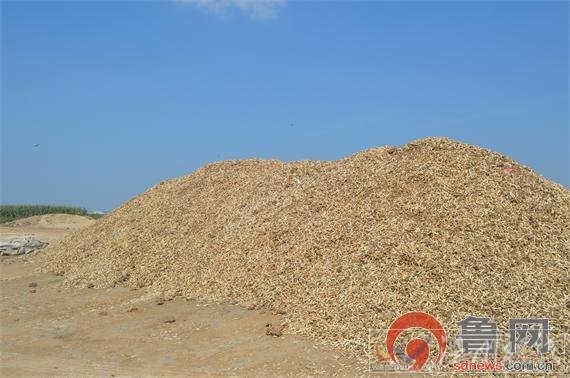 山東現(xiàn)曬骨場現(xiàn)場全是動物骨頭