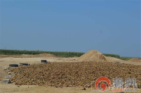 山東萊西開發(fā)區(qū)的一個曬骨場