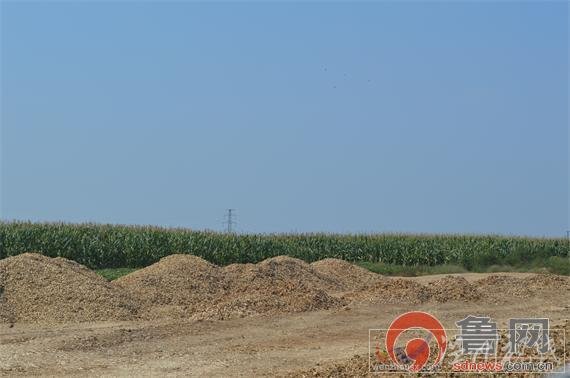 曬骨場內(nèi)的骨頭堆積成山