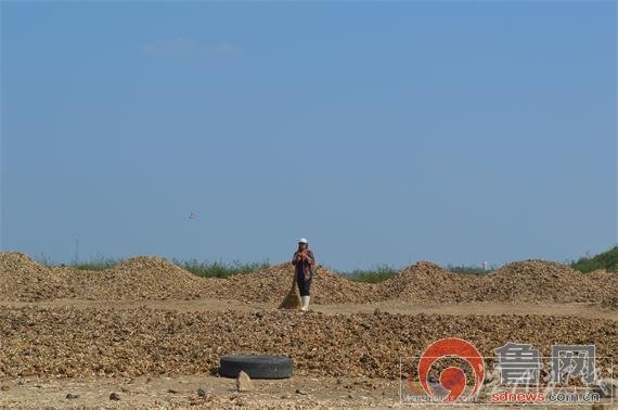 曬骨場對環(huán)境造成很大的破壞